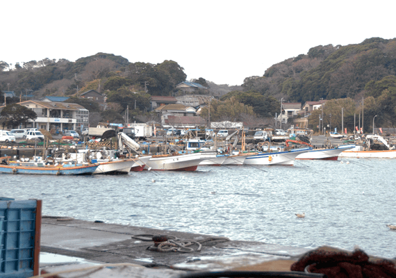 朝どり活魚を鮮魚直送01