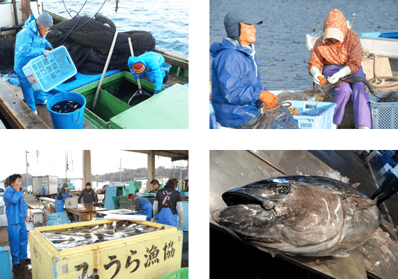 朝どり活魚を鮮魚直送02
