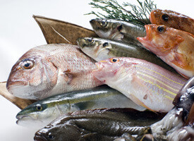 業販お取引き01